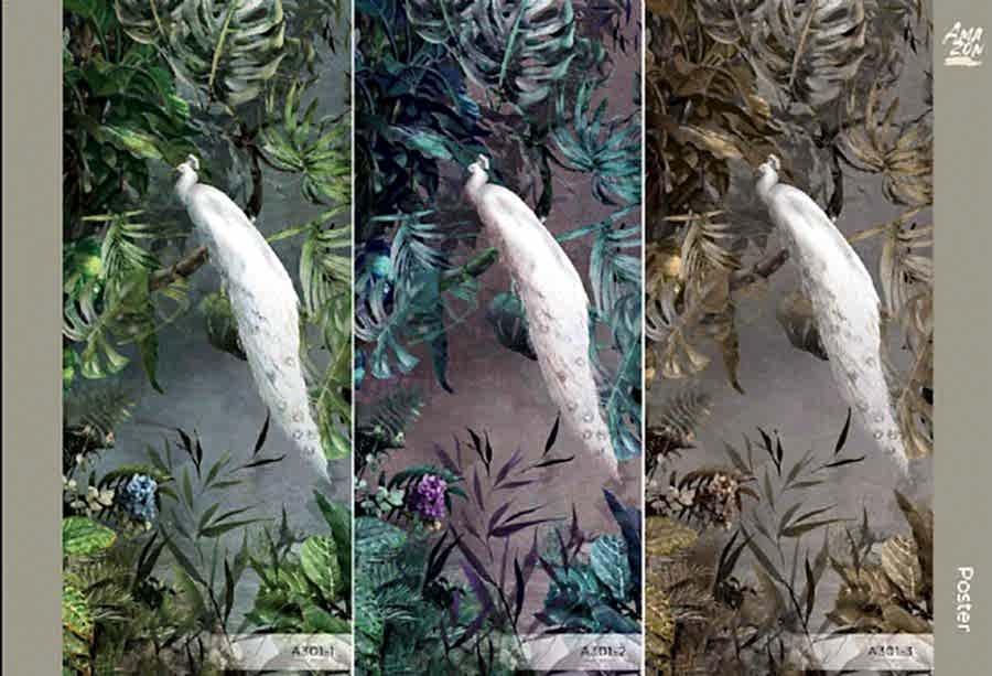 Amazon temalı Tavus Kuşu Vinil Duvar Kağıdı